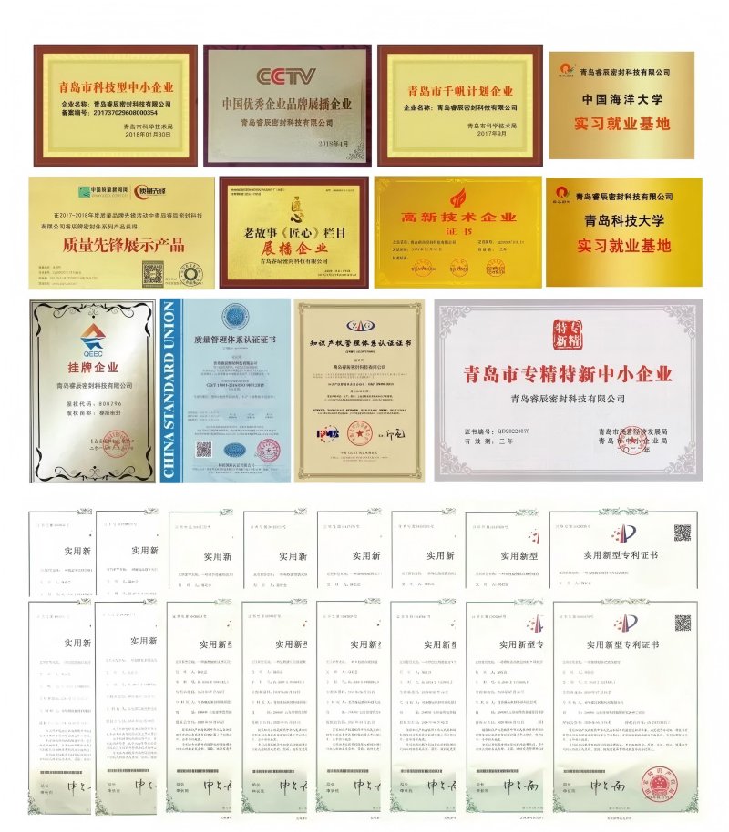 ข่าวดี: การปิดผนึกชิงเต่ารูเชนได้รับสิทธิบัตรหลายรายการ