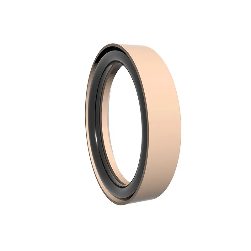 High Pressure End Flange Seals