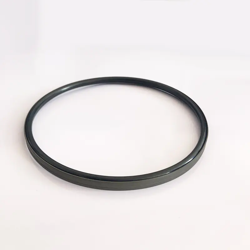 High Pressure Seals For Piston Holes