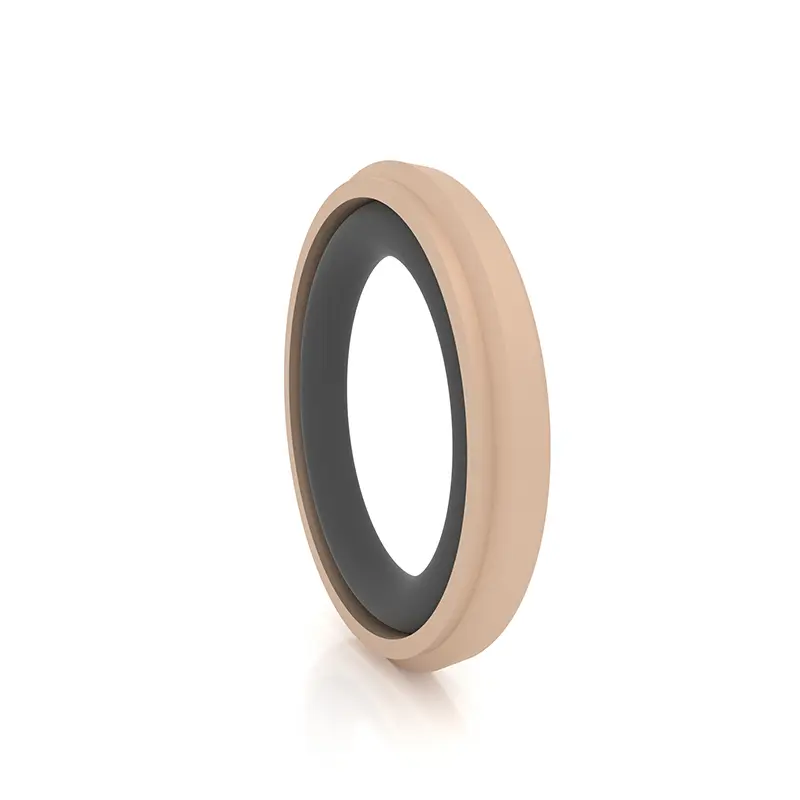 High Pressure Seals For Piston Holes