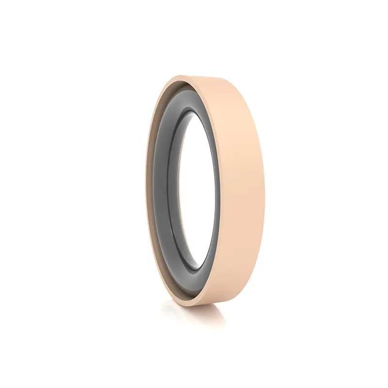 High Pressure Seals For Piston Holes