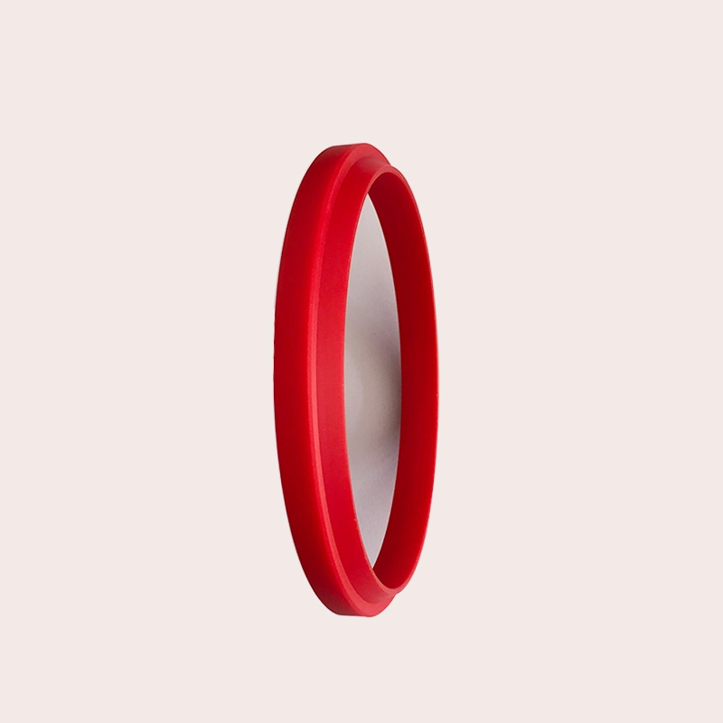 Hydraulic Dust Seals