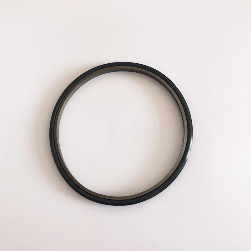 Hydraulic Dust Seals
