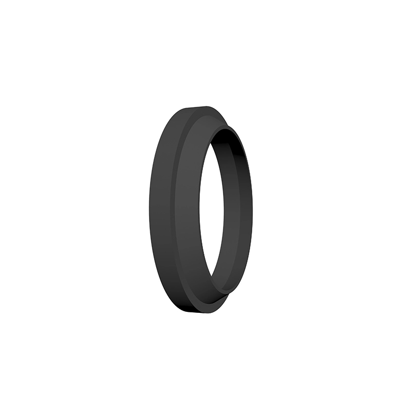 Hydraulic Dust Seals