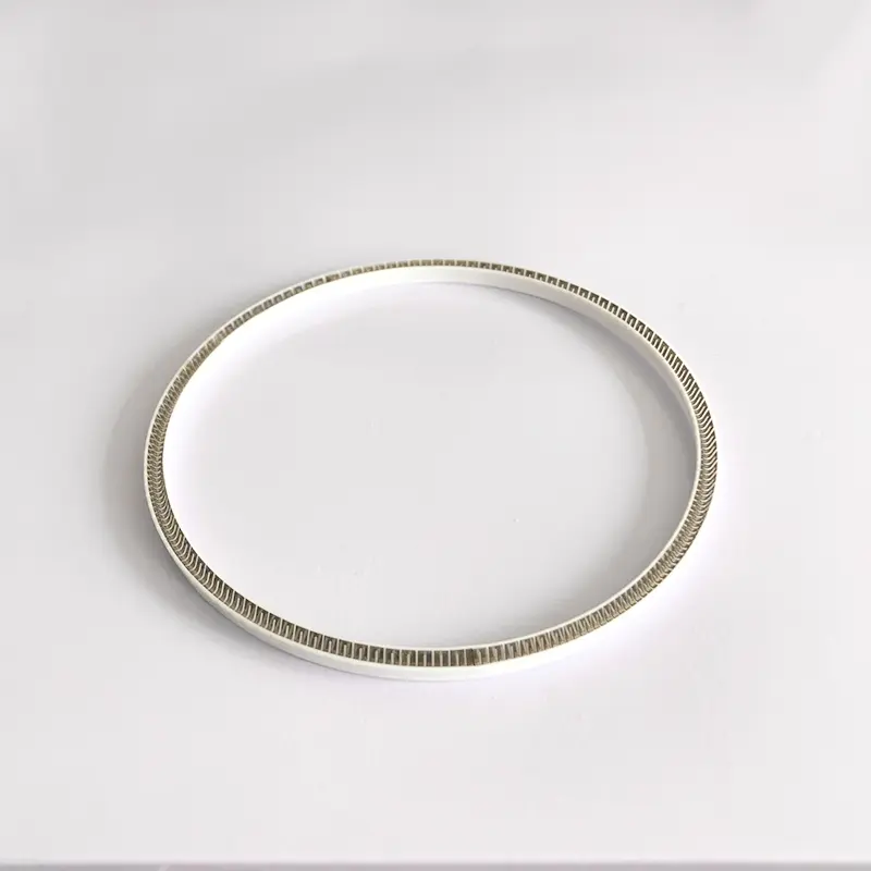 Universal Spring Energized Seal For Shaft Hole
