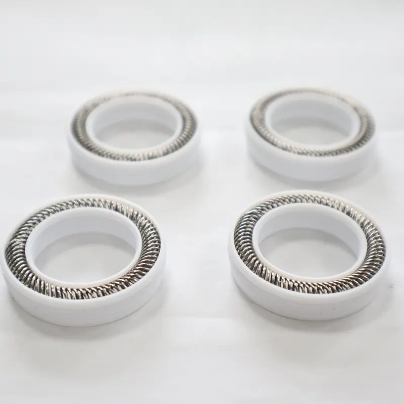 Universal Spring Energized Seal For Shaft Hole